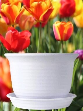 6” White Round Plastic Plant Pot Saucer Drainage Tray – Indoor & Outdoor Planter